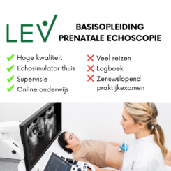 LEV Basisopleiding Prenatale Echoscopie - start 12 oktober GROEP 6